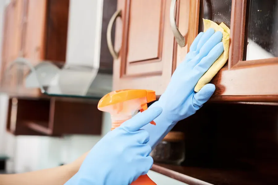 How To Maintain A Spotless Kitchen Between Cleanings Forest, MS